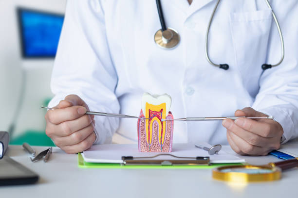Best Emergency Root Canal Therapy in Tega Cay, SC